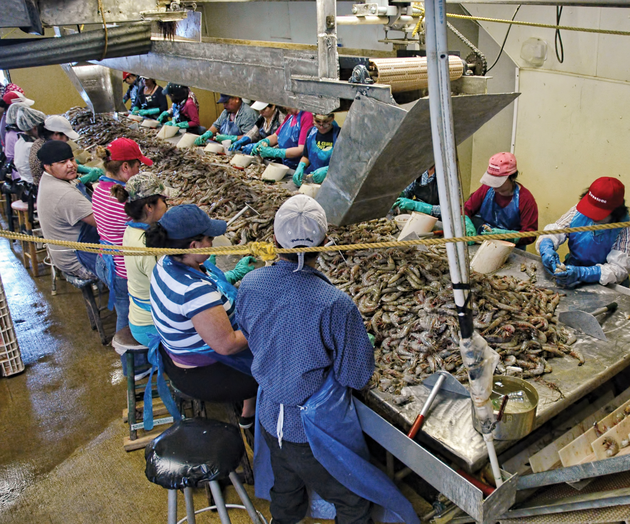 Seafood processing