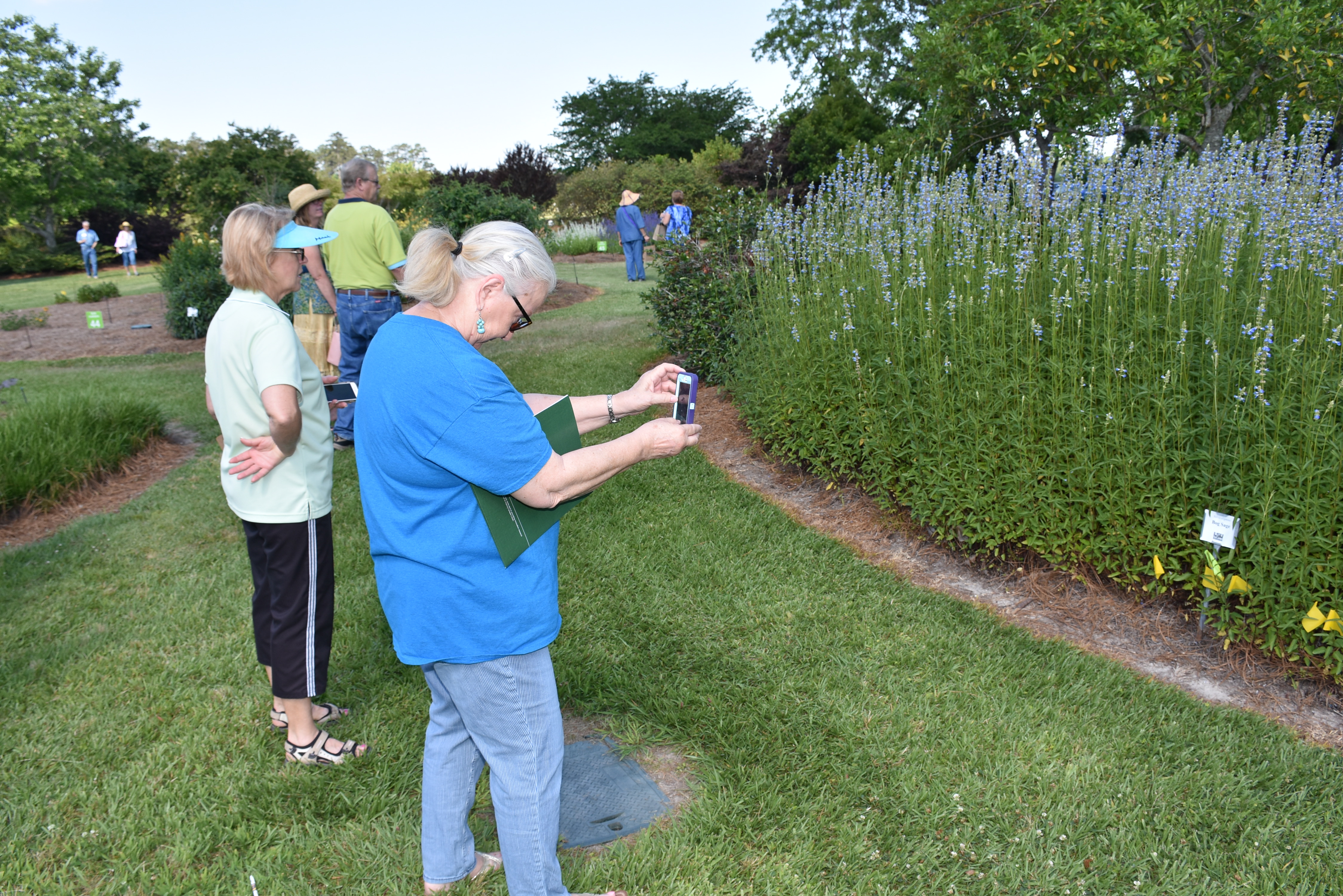 AgCenter shows appreciation to Master Gardeners