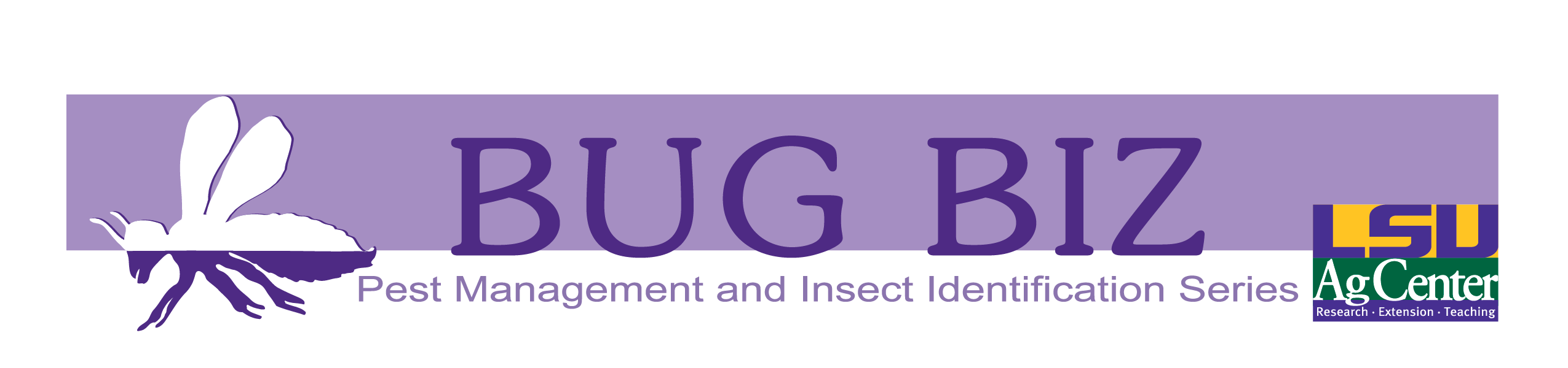 Purple banner that says, "Bug Biz."