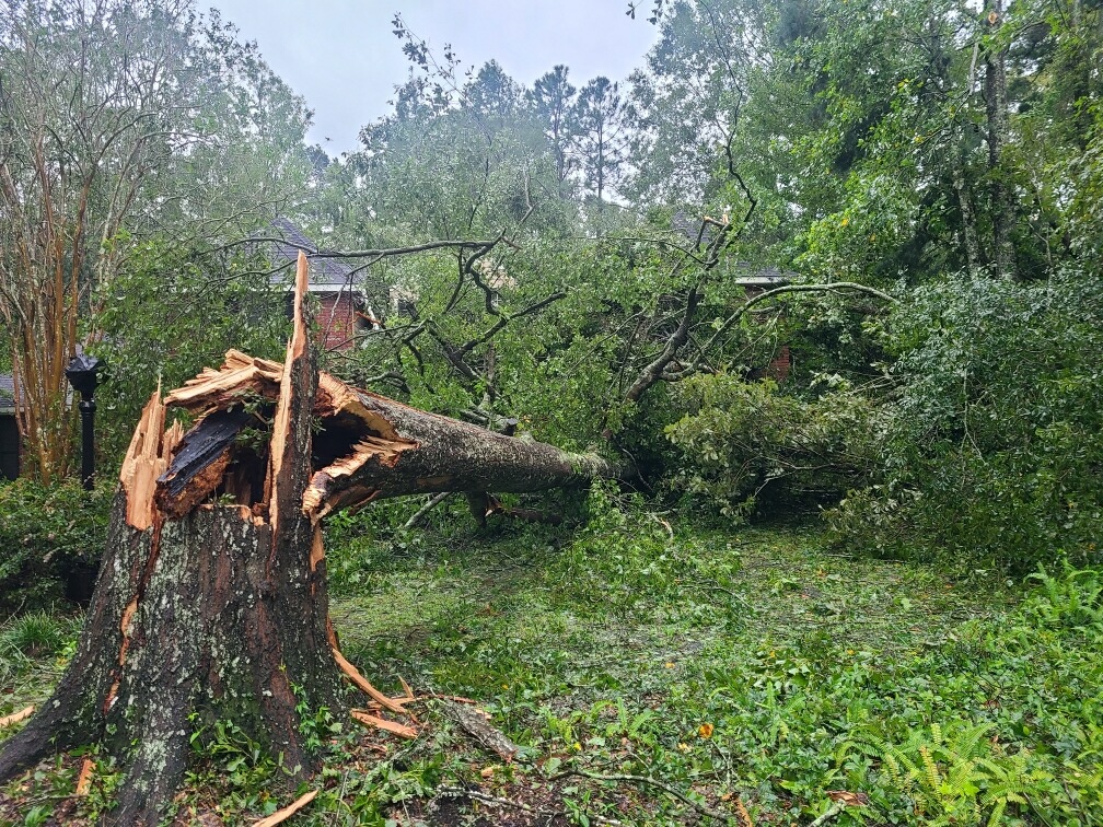 Repairing landscapes after storms