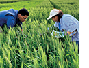 Two people in a field.
