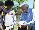 Charles Overstreet teaches students to graft pawpaw trees. 