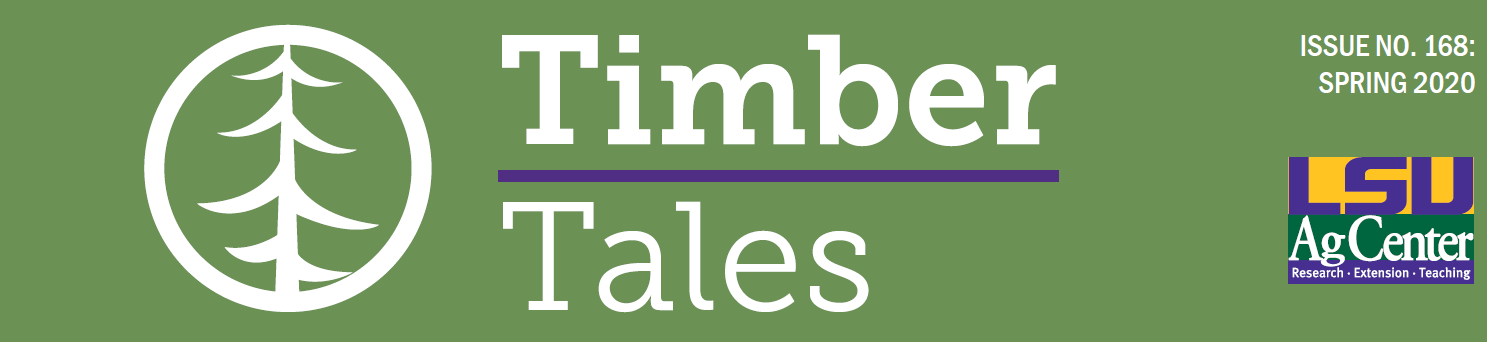 Timber Tales decorative banner.