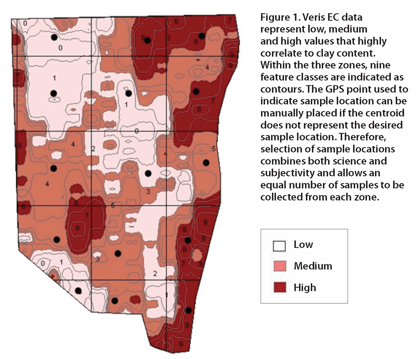 GIS/GPS Techniques help evaluate soil insect and nematode pest control strategies in sweet potatoes