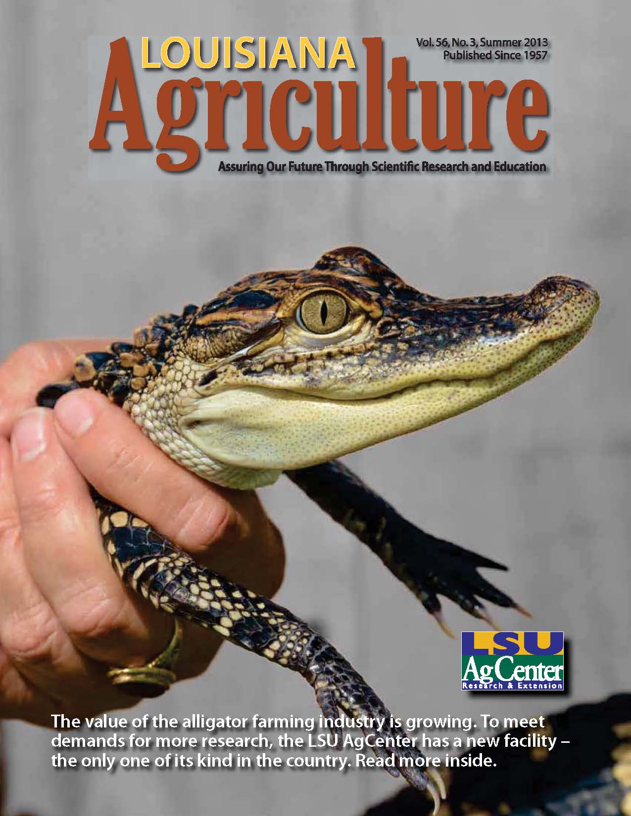 Louisiana Agriculture Summer 2013