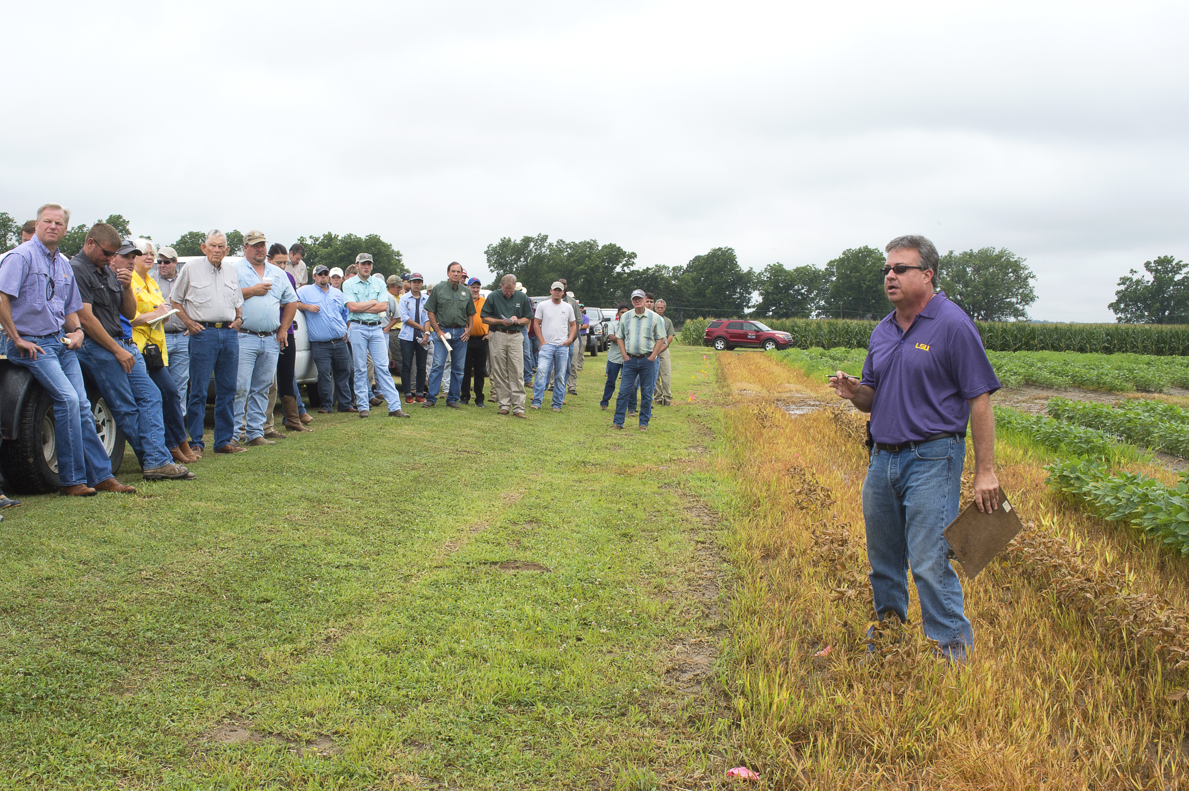 New tools to fight weeds highlight LSU AgCenter field day