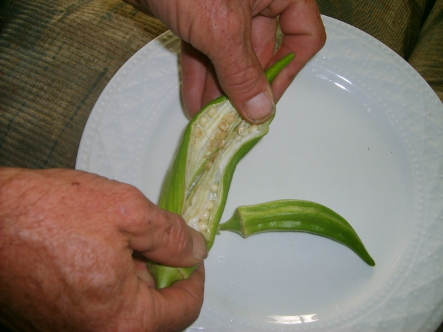 okra seeds
