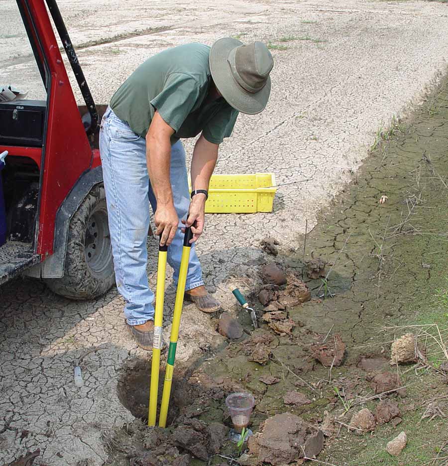 Crawfish extraction from burrows