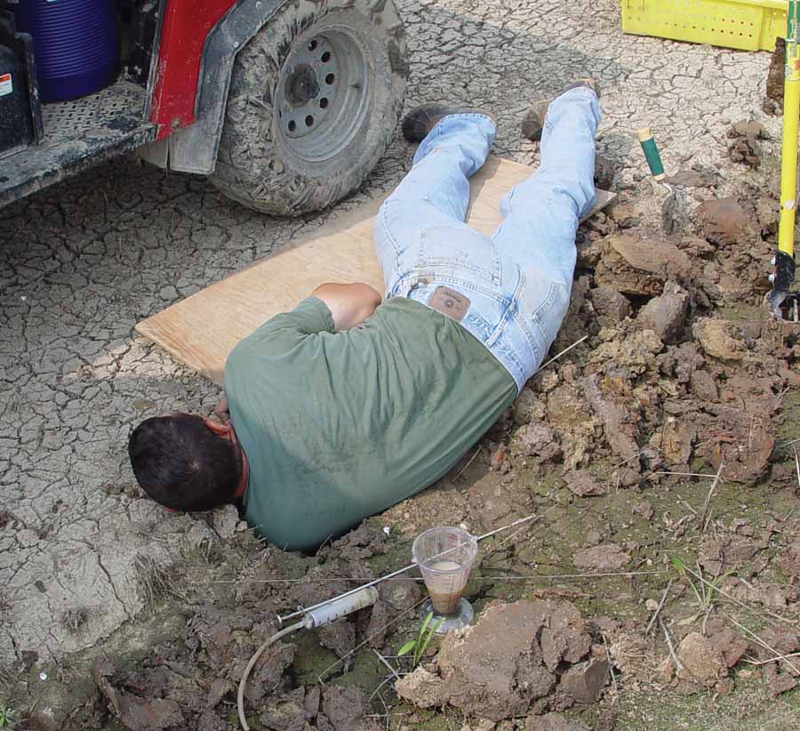 Burrow excavations are difficult