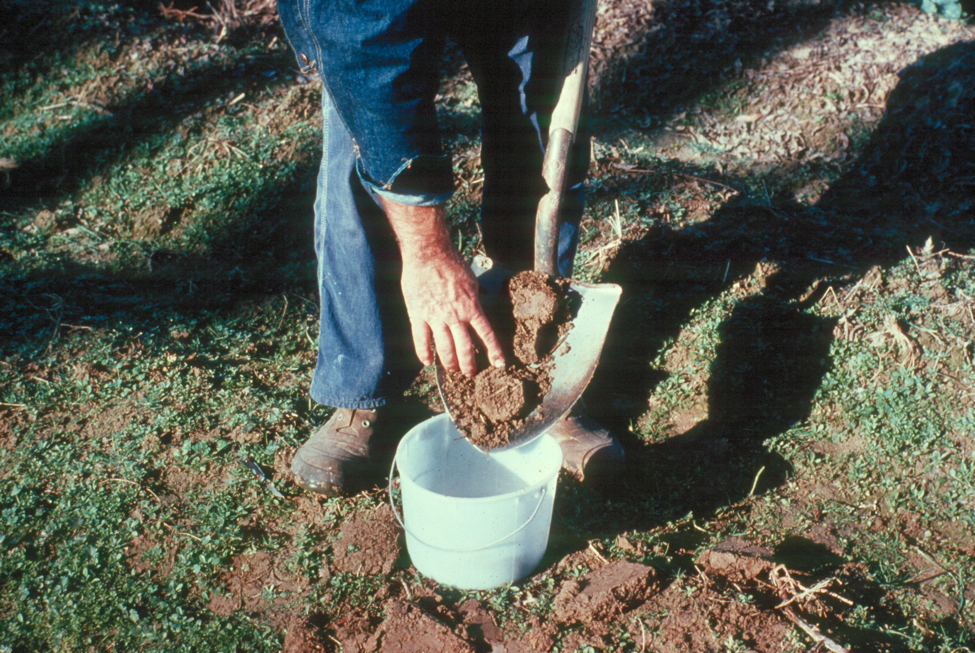 Soil Test in Fall or Winter