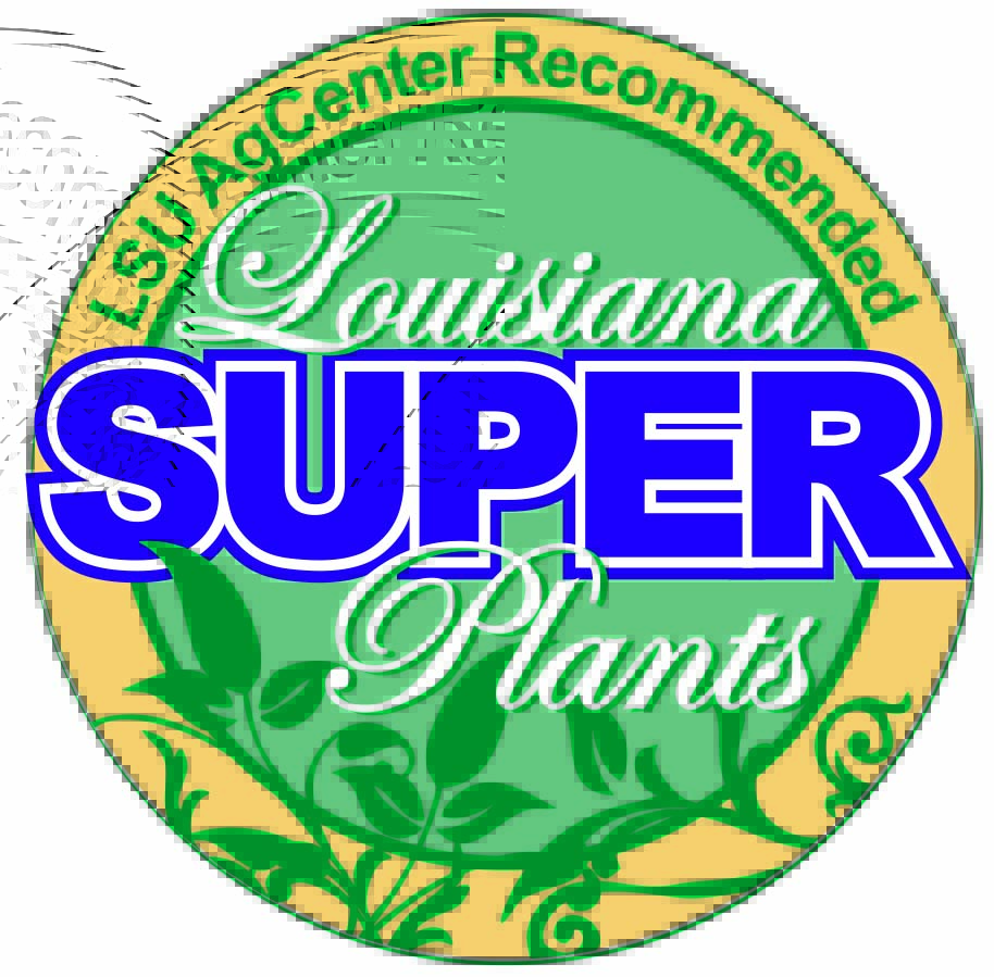 SuperPlantsLogojpg
