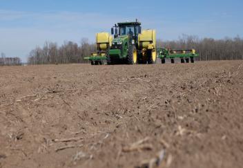 Louisiana corn farmers busy getting seed in the ground