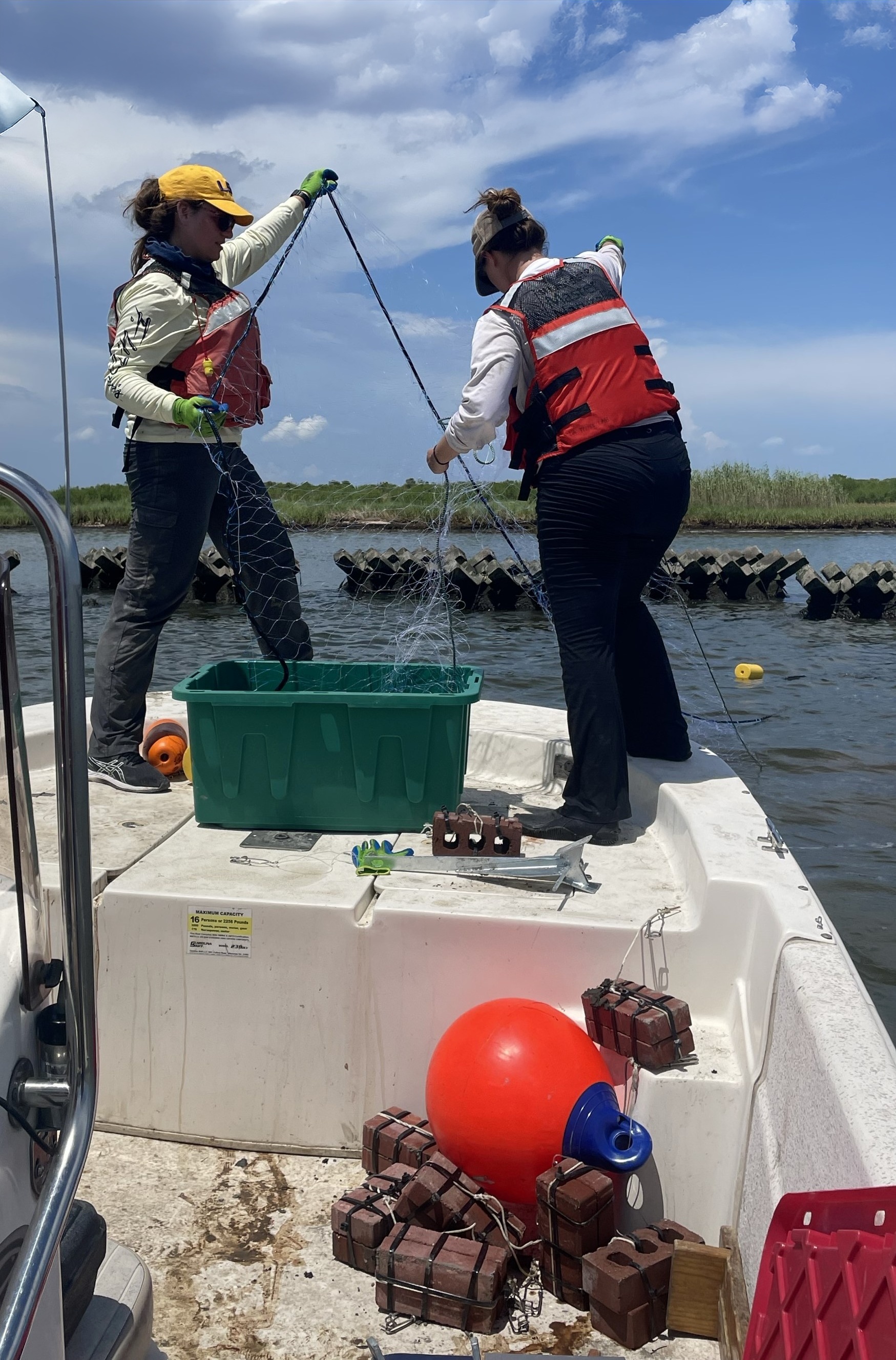 Monitoring Efforts on the Longest Continuous Living Shoreline in Louisiana
