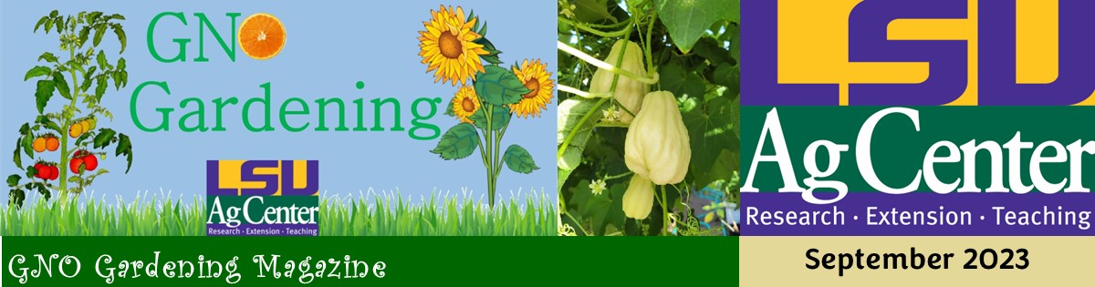 GNO Gardening Magazine - September 2023