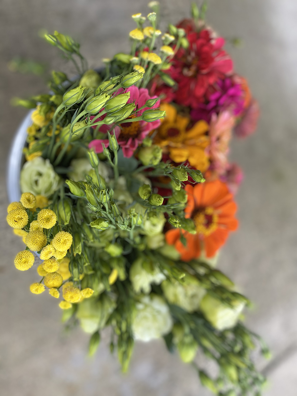 Top view of yellow feverfew flowers mixed with other cut flowers in a bouquet.