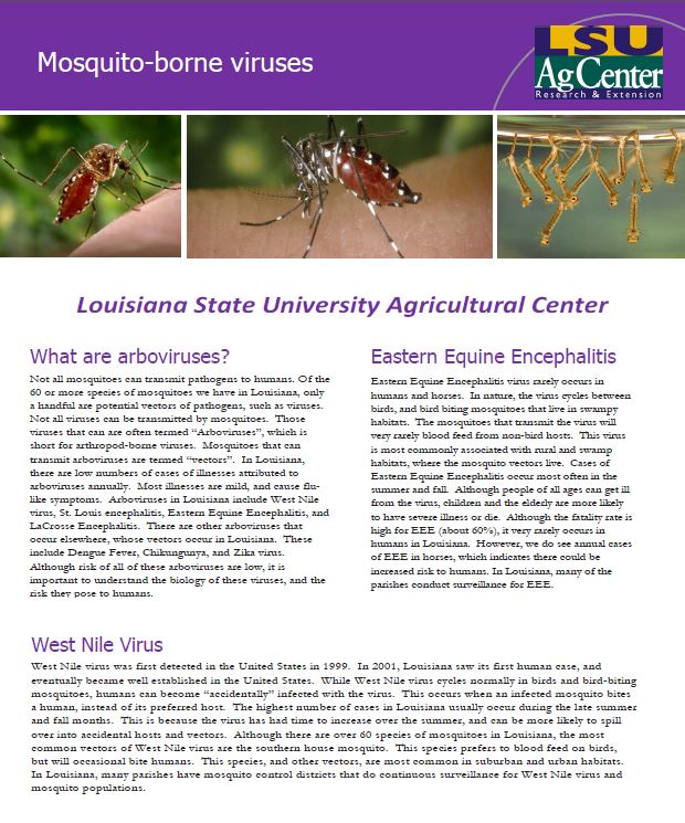 Mosquito-borne viruses