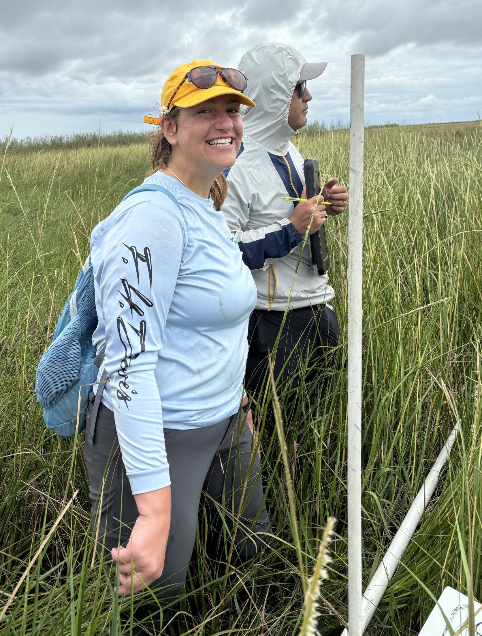 Assessment of Invasive Roseau Cane as Critical Fish Habitat