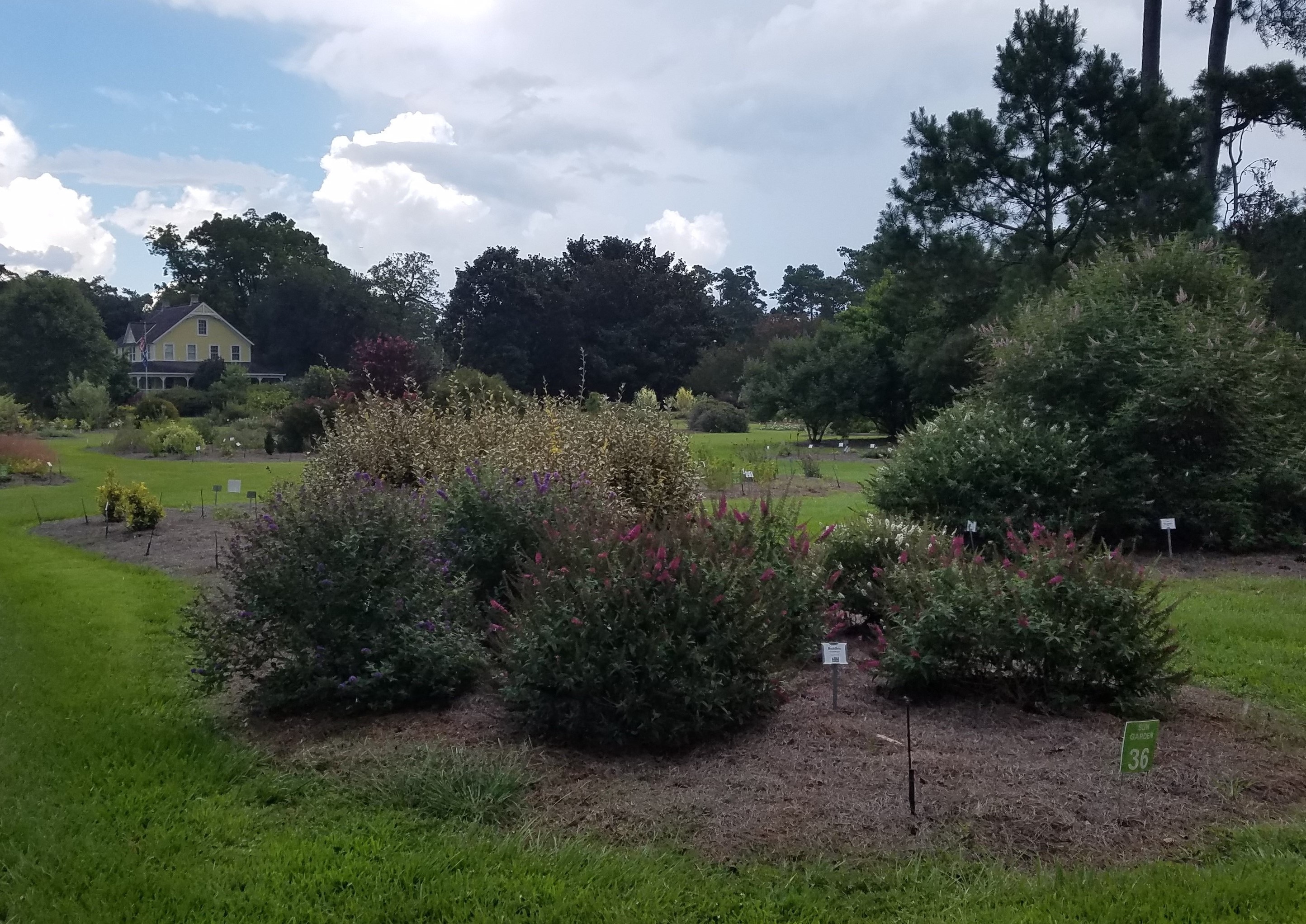 Fertilizing Landscape Beds