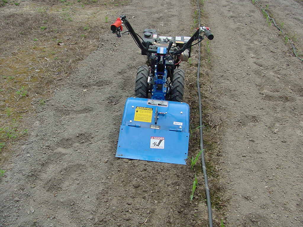 shallow cultivation with rotary tiller