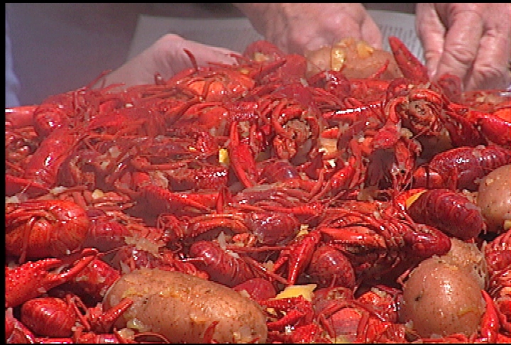 Crawfish catch should be good this year