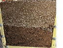 stratifiedsubstrates.png thumbnail