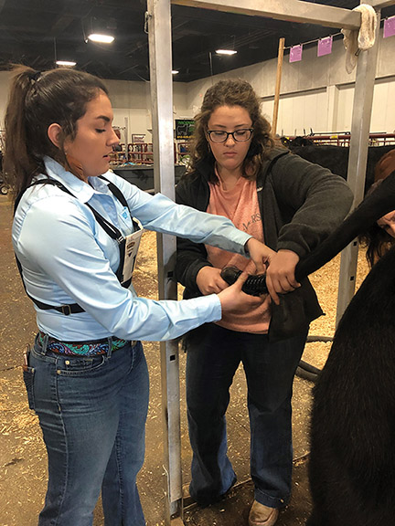 Livestock exhibitors geaux for the green 