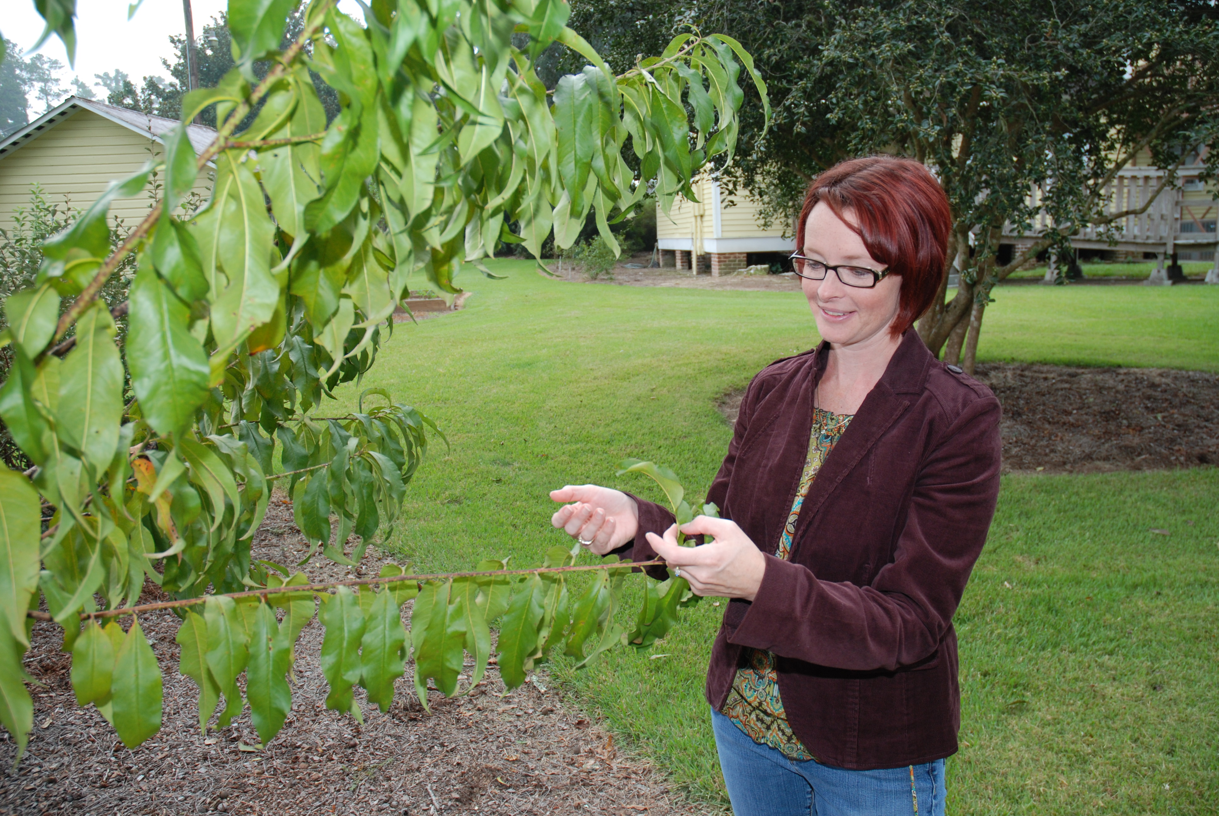 Ivey looks forward to working with horticultural crops