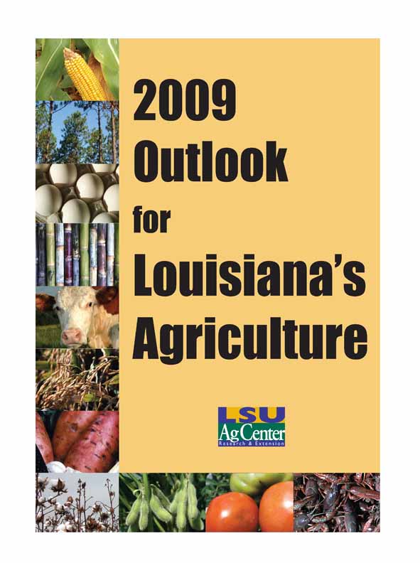 2009 Outlook for Louisiana Agriculture