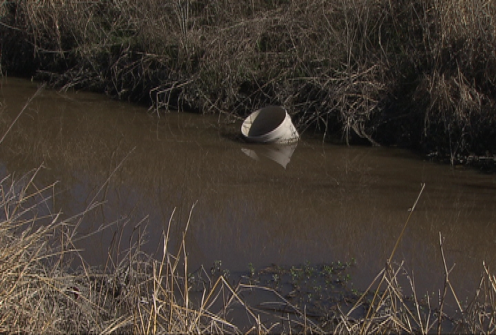 Saltwater intrusion threatens rice acres