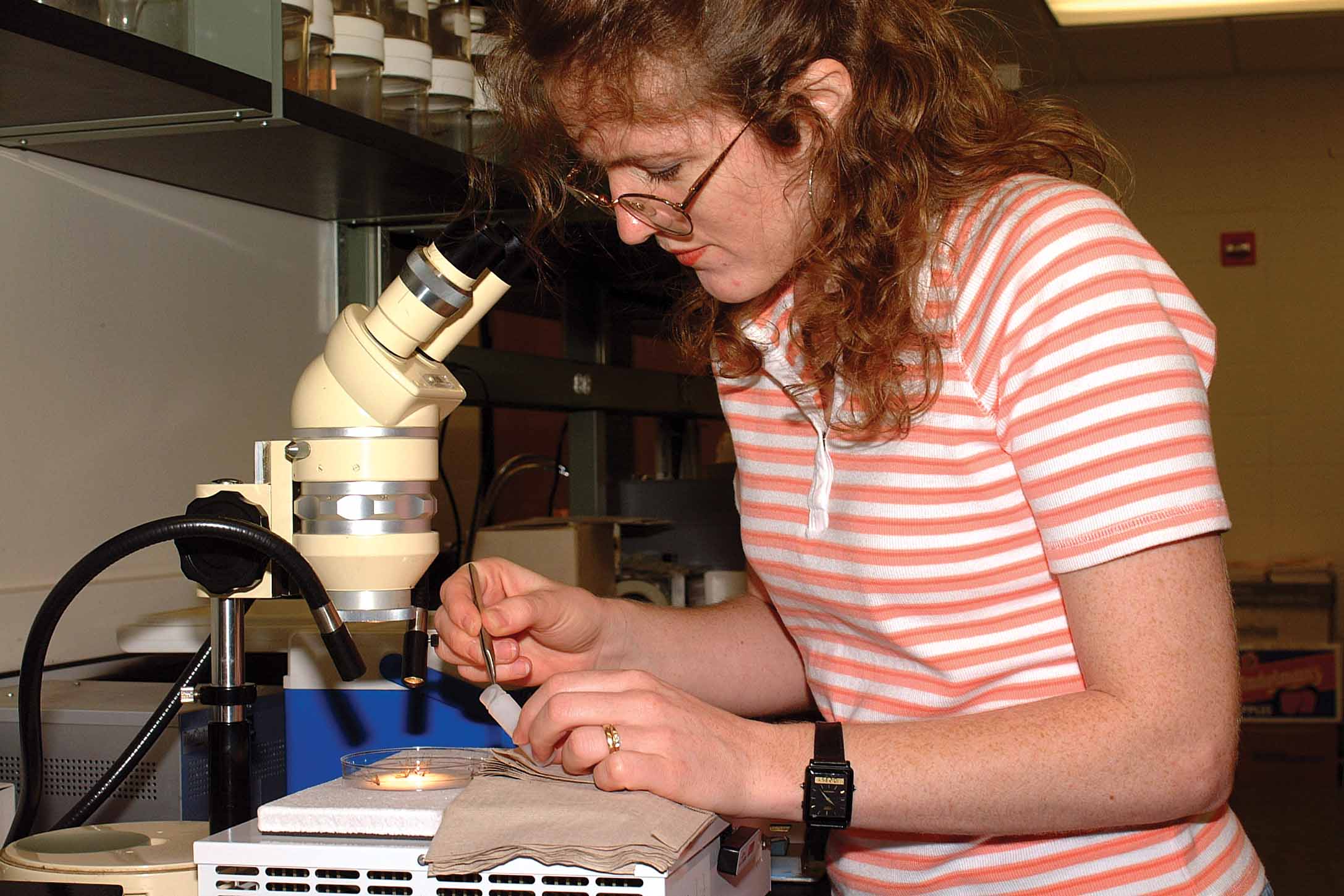 Workshops Arm Parishes for Mosquito Battle