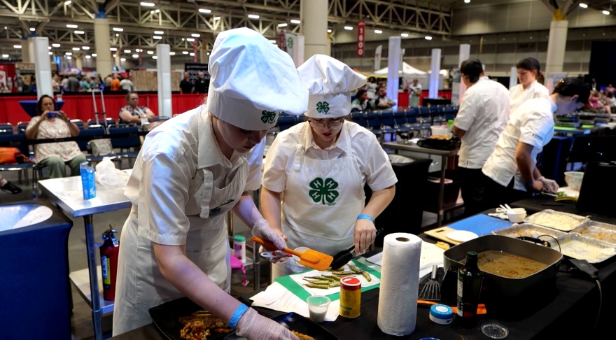 Young chefs compete at Great American Seafood Cook-off, 4-H edition