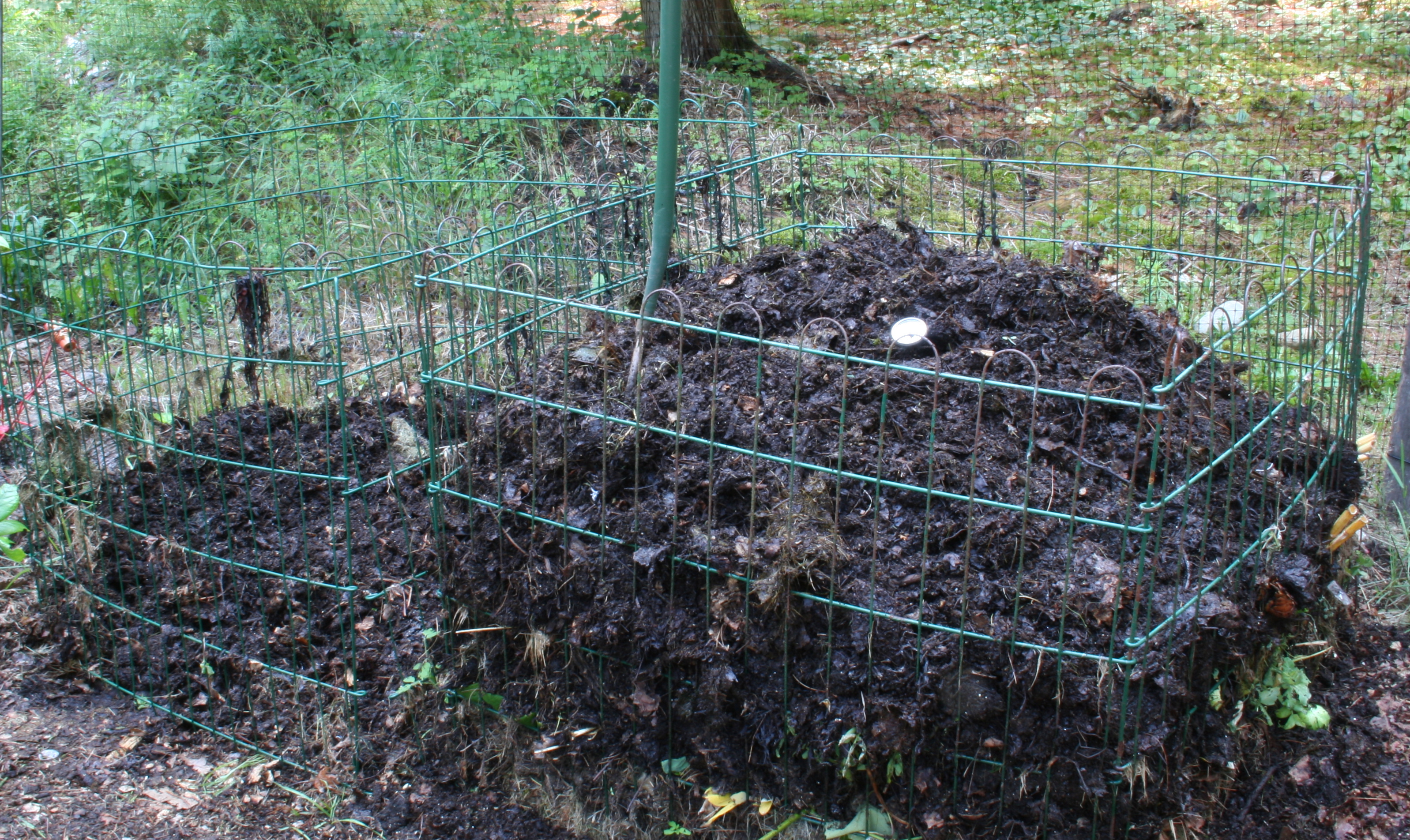 Compost fallen leaves