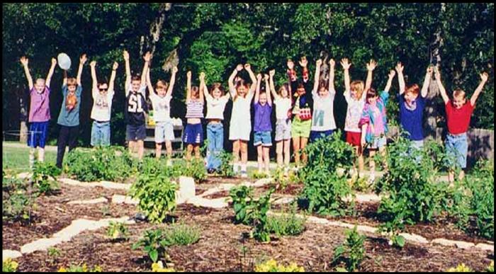Steps to Creating a Successful School Garden