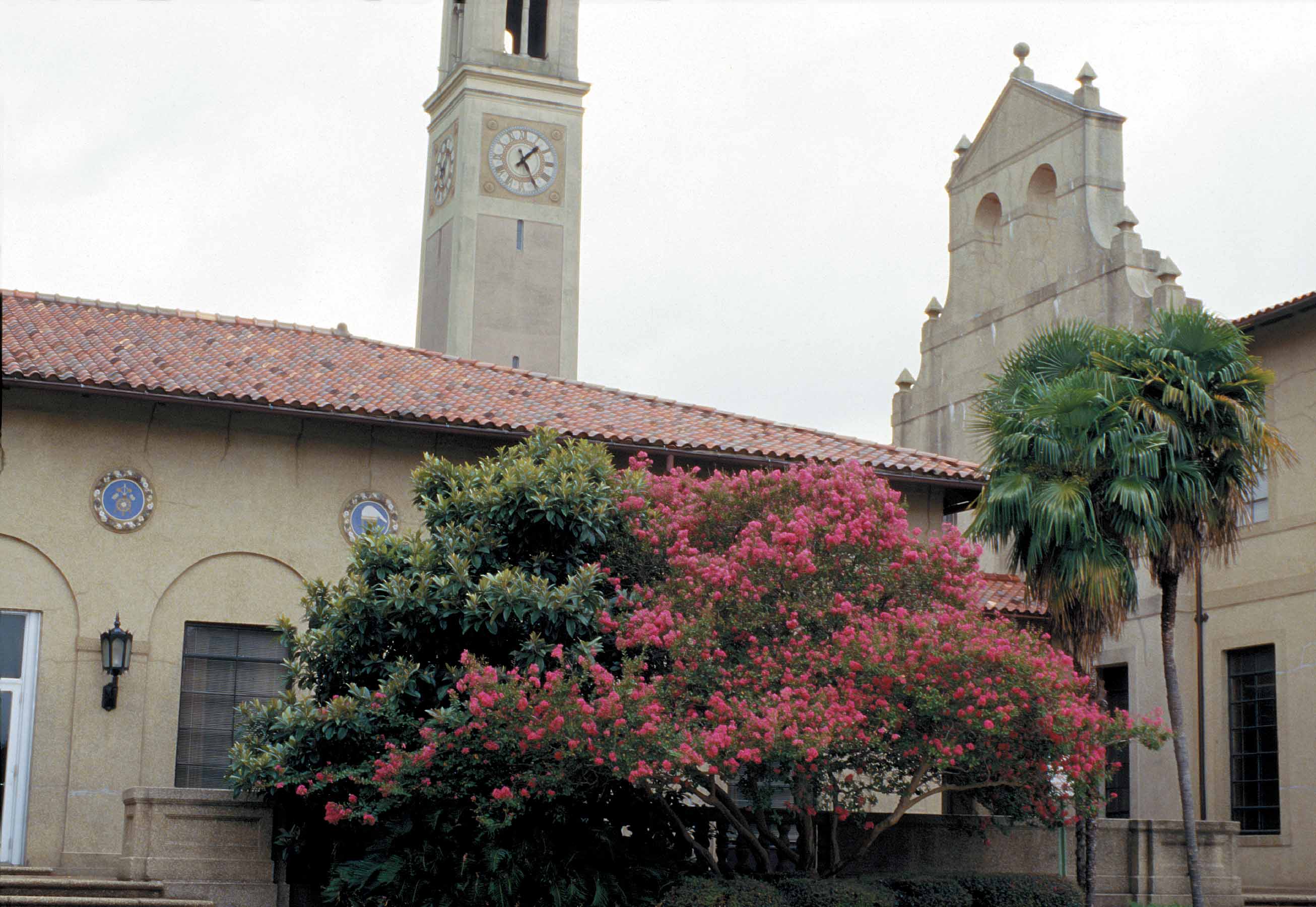 Horticulture in the City