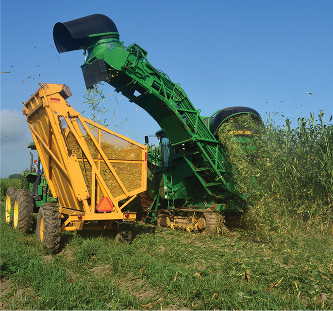 New Crops for Biofuel Production in Louisiana