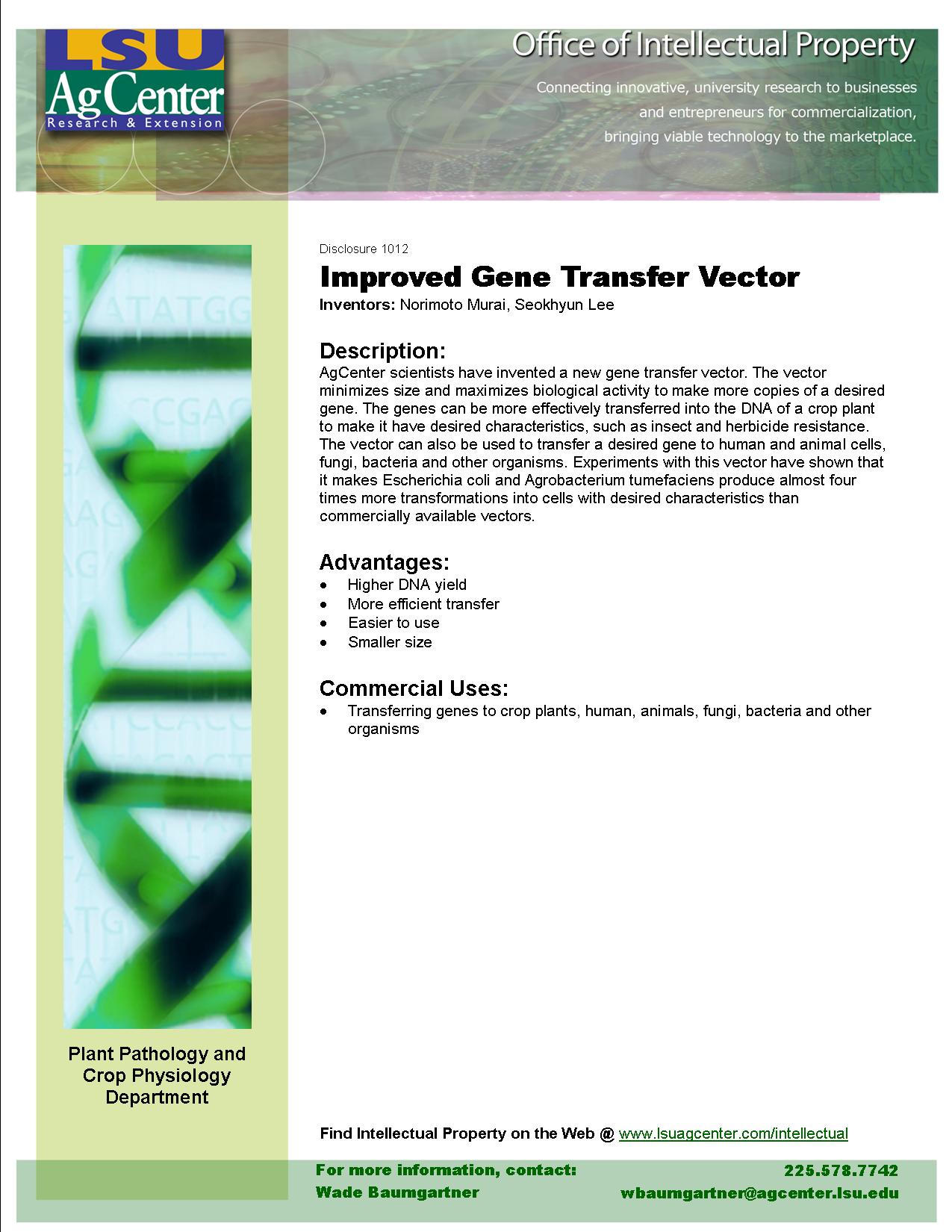 Improved Gene Transfer Vector