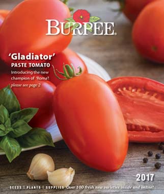 2017_burpee_catalog.jpg thumbnail