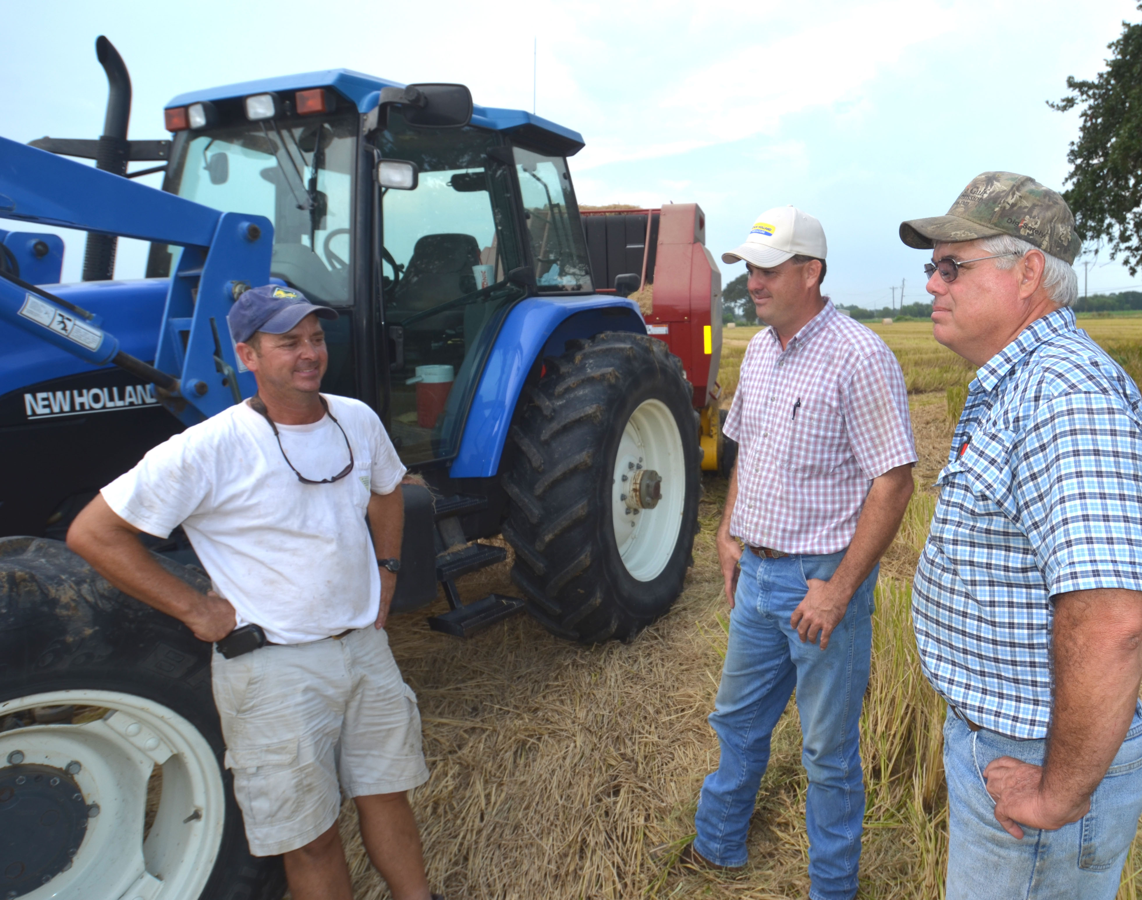 Rice farmers help supply rice straw as cattle feed for Texas
