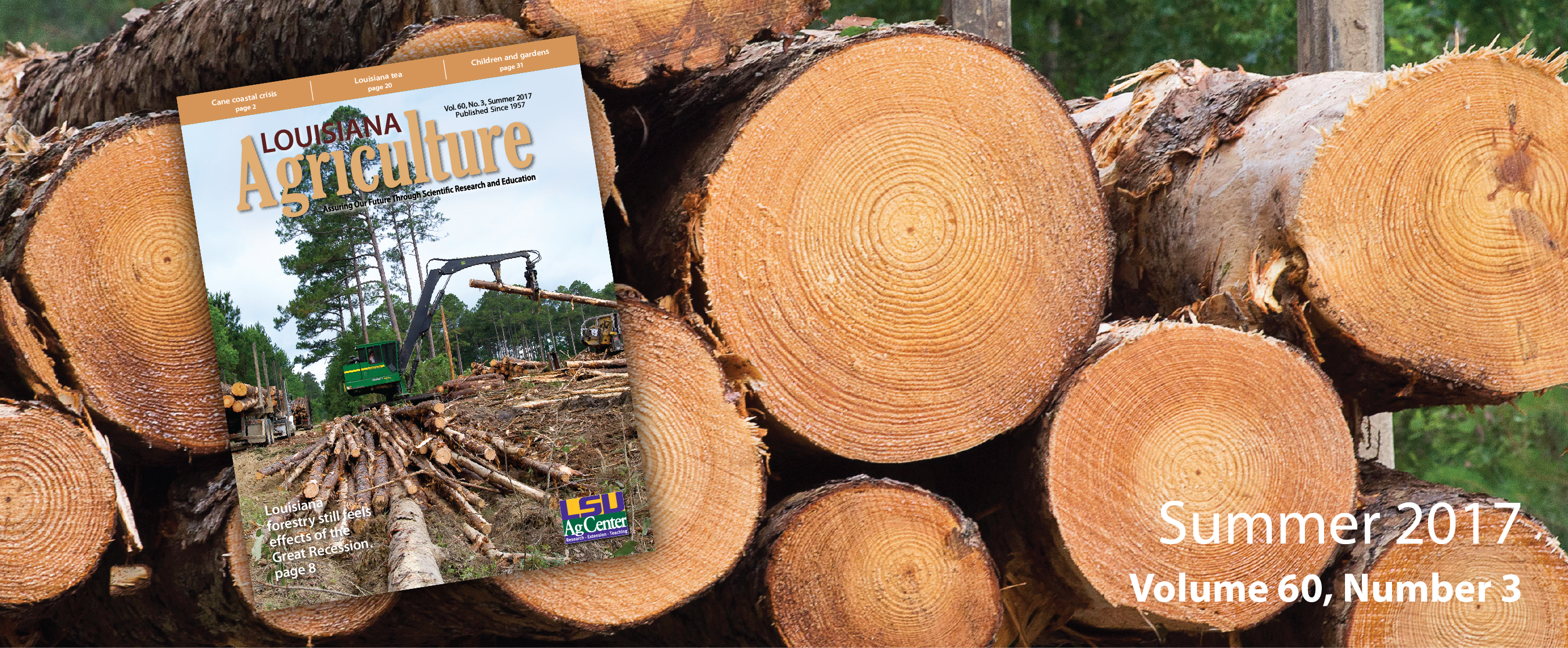 Stack of freshly cut logs with circular cross-sections prominently visible. Resting on one log is a copy of Arkansas Agriculture, Summer 2017, Volume 6, Number 2. The magazine cover features a logging scene with a large tree and cut logs. Background includes greenery, suggesting a forested area. The image highlights forestry and logging practices in Arkansas.