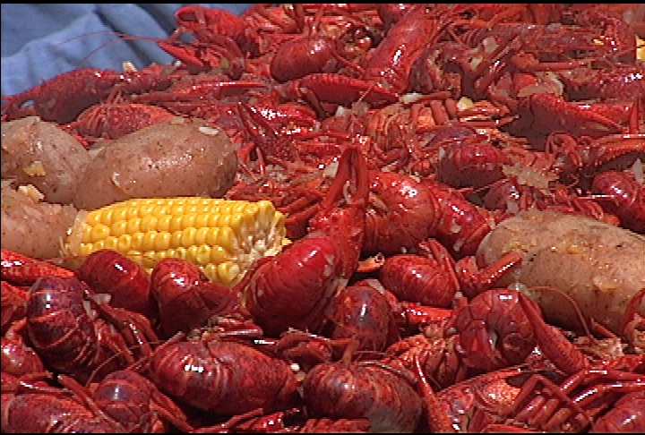 Last years drought causes slow start to crawfish season