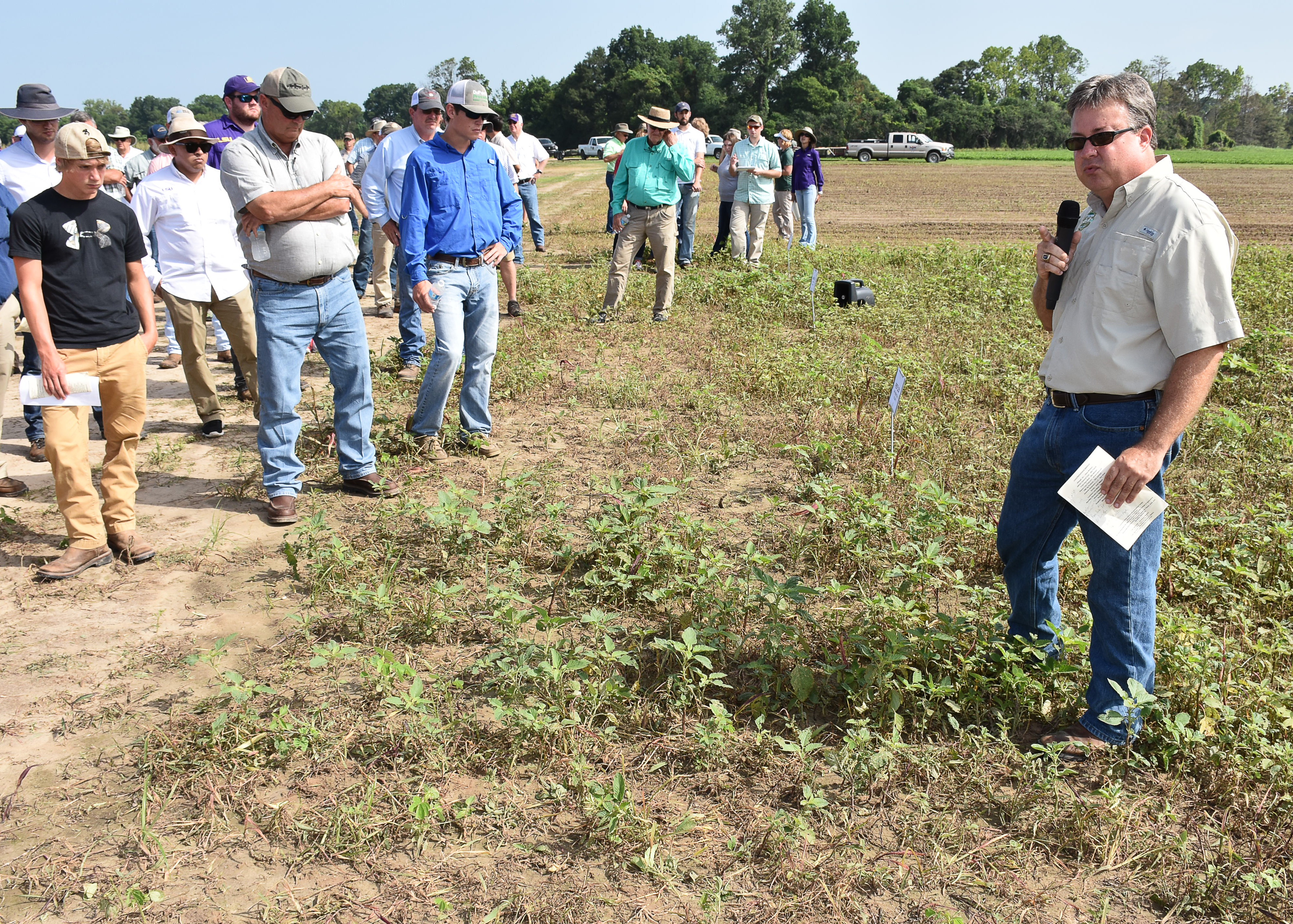 Battle continues to prevent resistance to herbicides