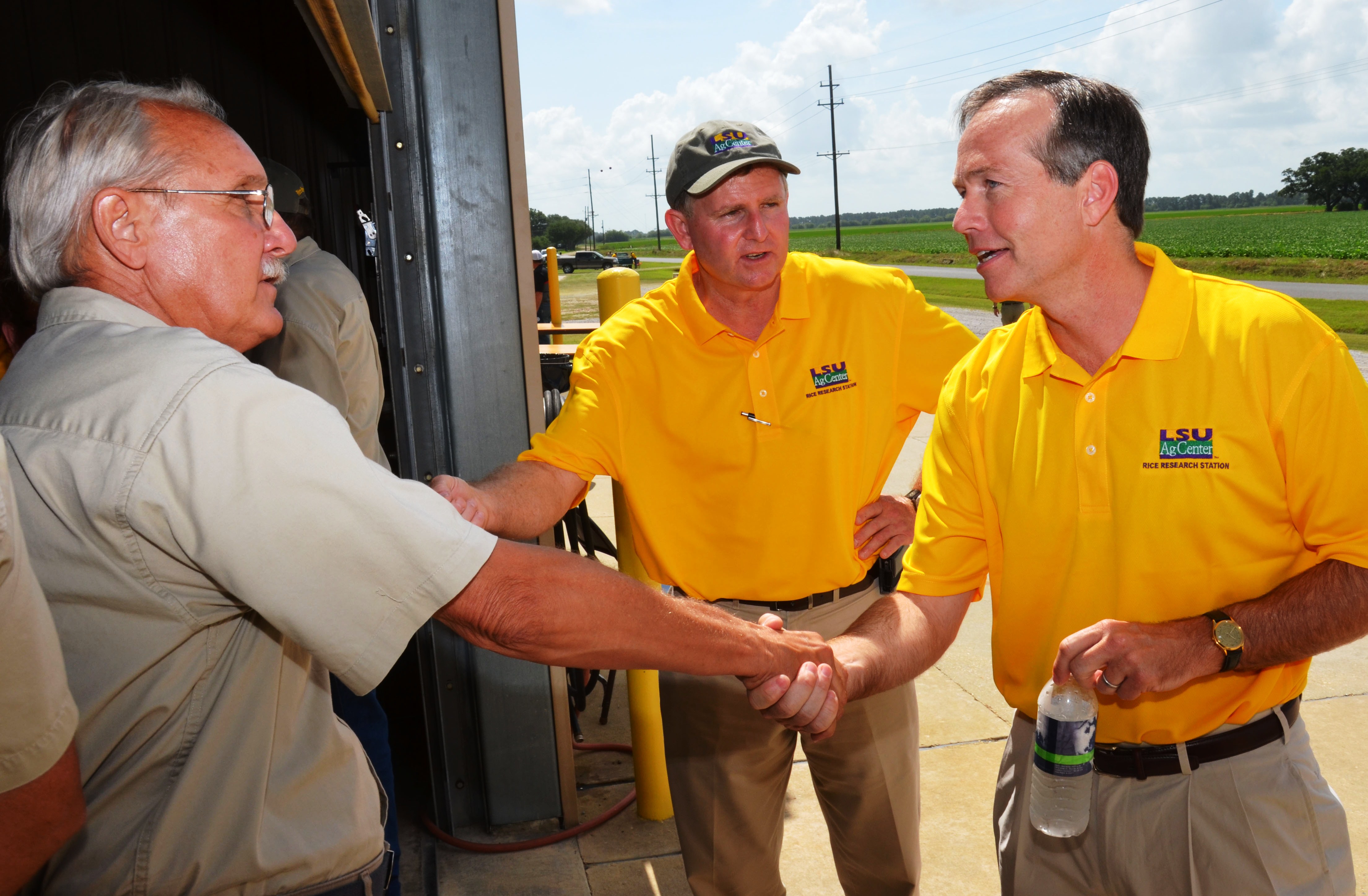 Current research featured at rice field day