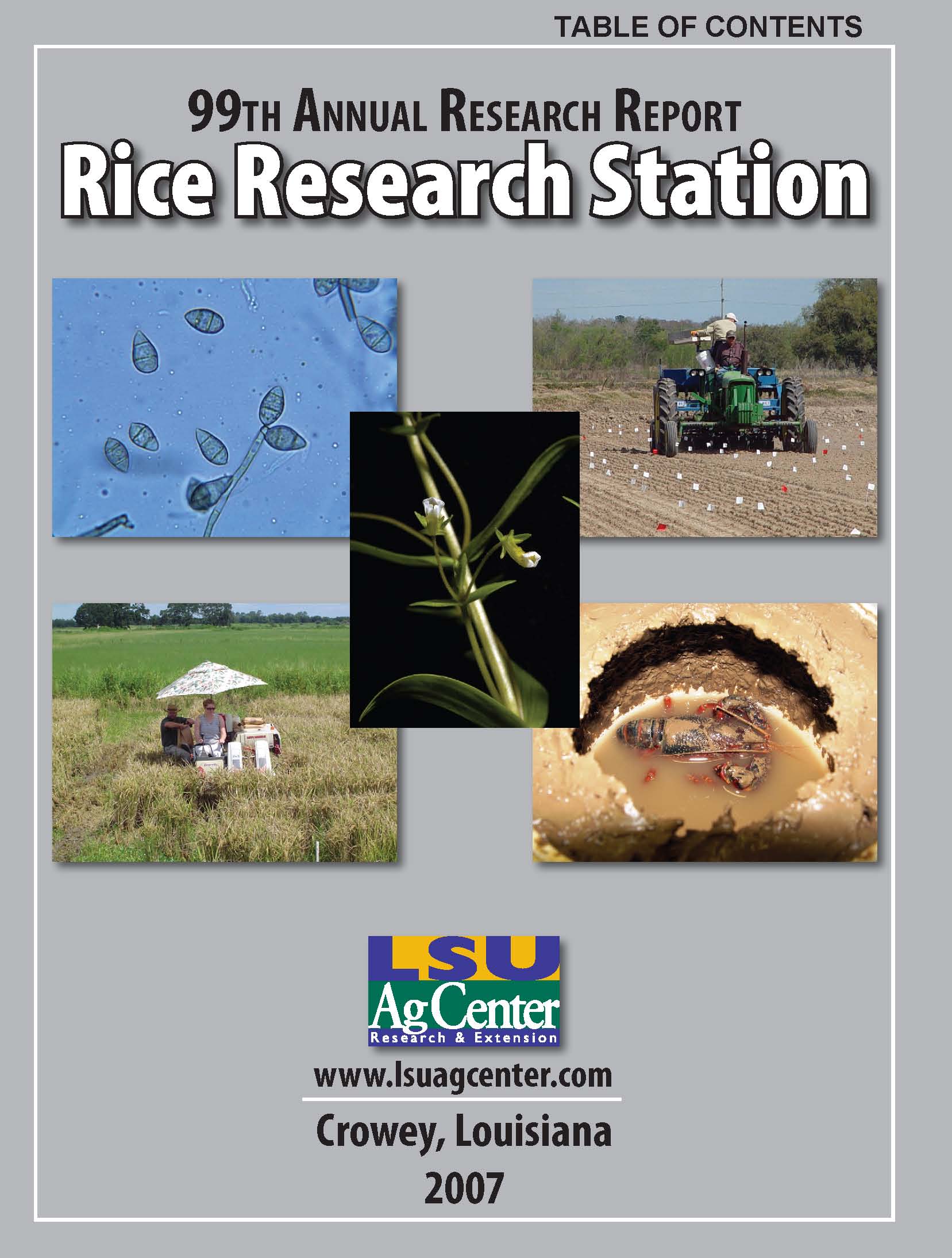 2007 Rice Research Station Annual Report