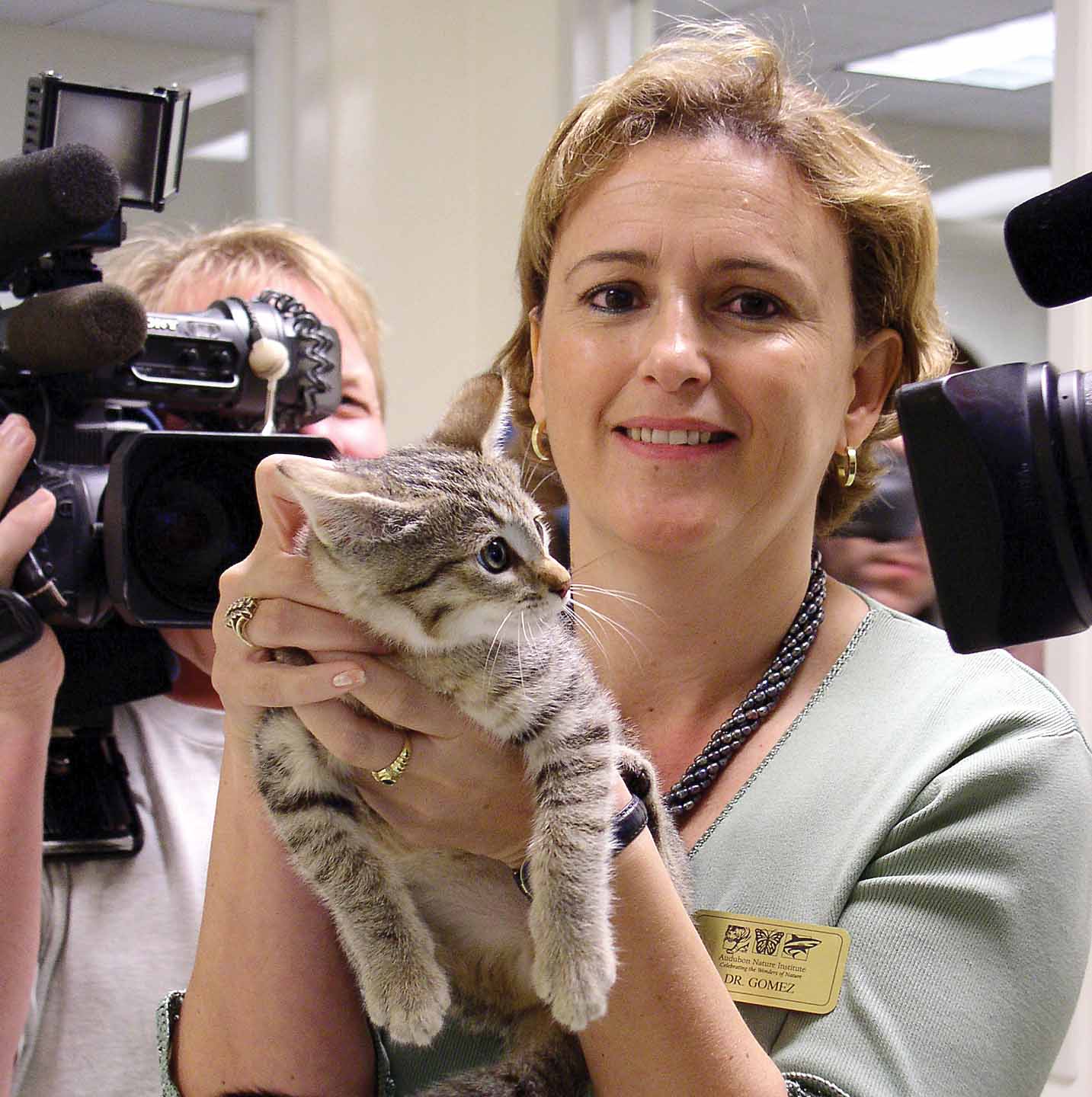Cloned Wildcat
