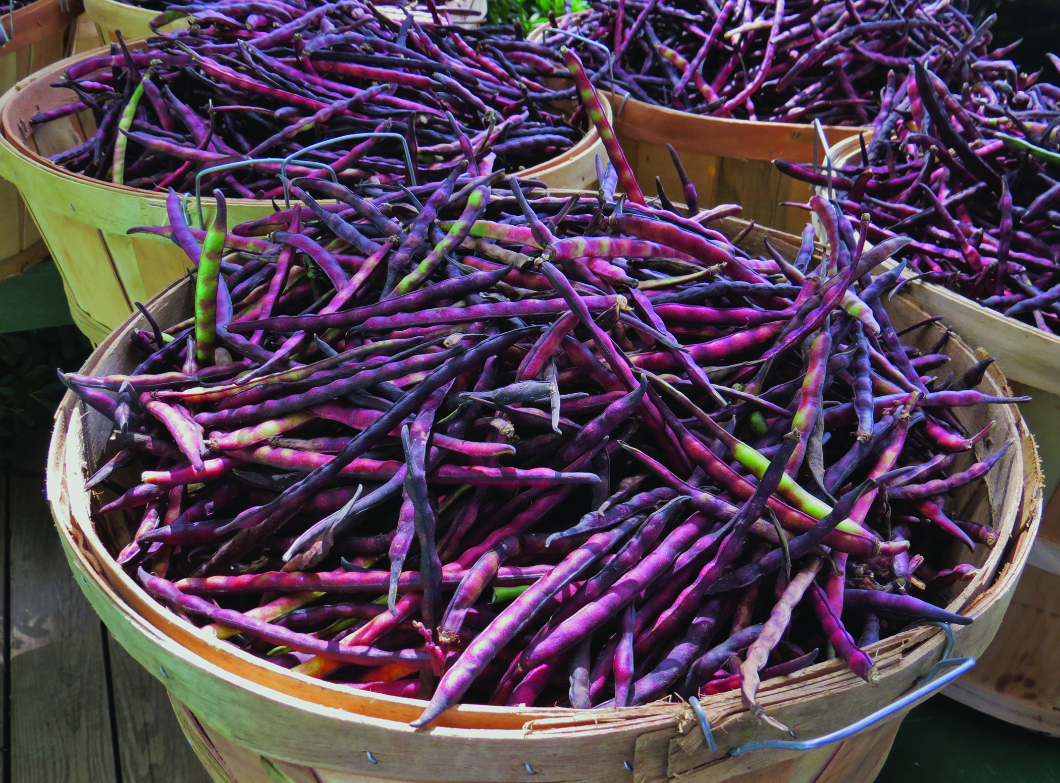 Southern peas