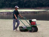 Turfgrass Establishment