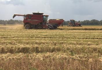 Rice harvest underway in southwest Louisiana