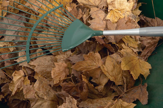 A green rake sitting on a pile of brown fallen leaves.