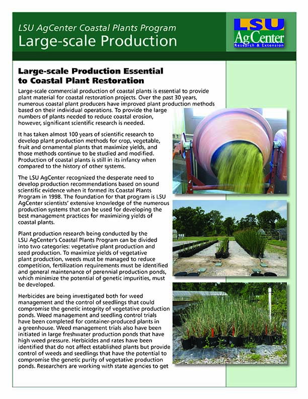 Large-scale Production
