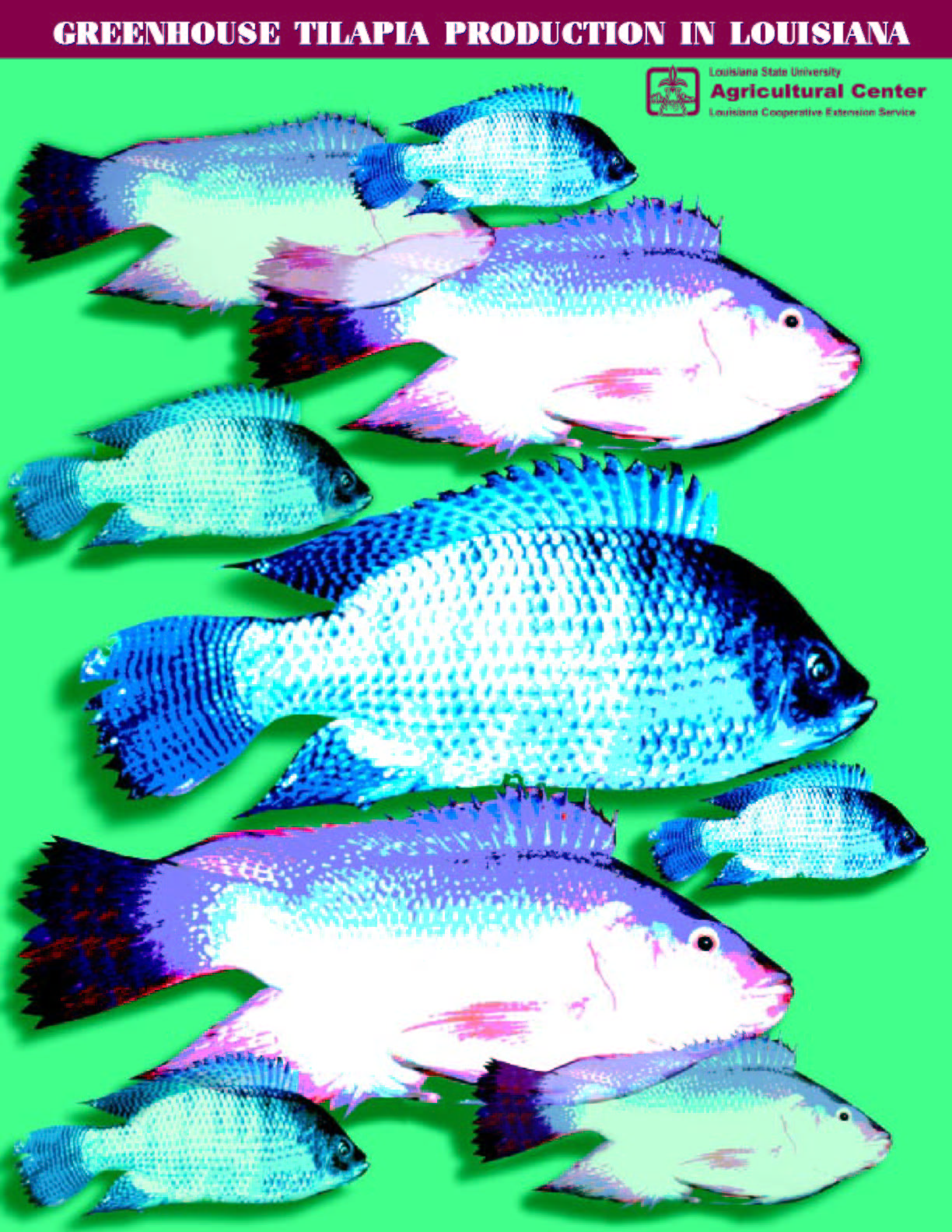Greenhouse Tilapia Production in Louisiana